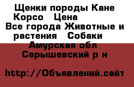 Щенки породы Кане-Корсо › Цена ­ 25 000 - Все города Животные и растения » Собаки   . Амурская обл.,Серышевский р-н